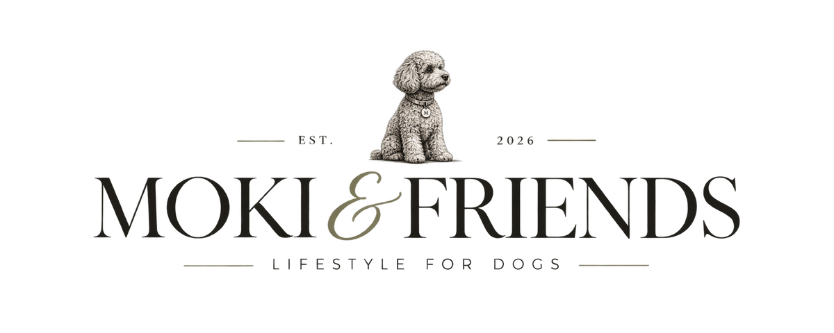 Moki & Friends